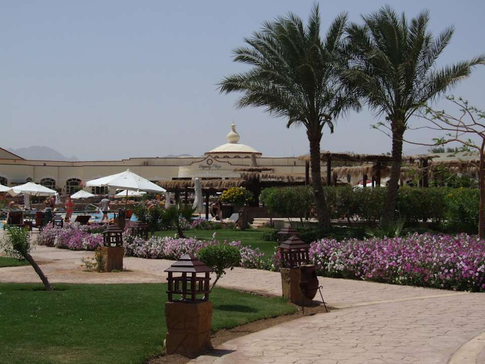 Ogród Regency Plaza Aqua Park & Spa