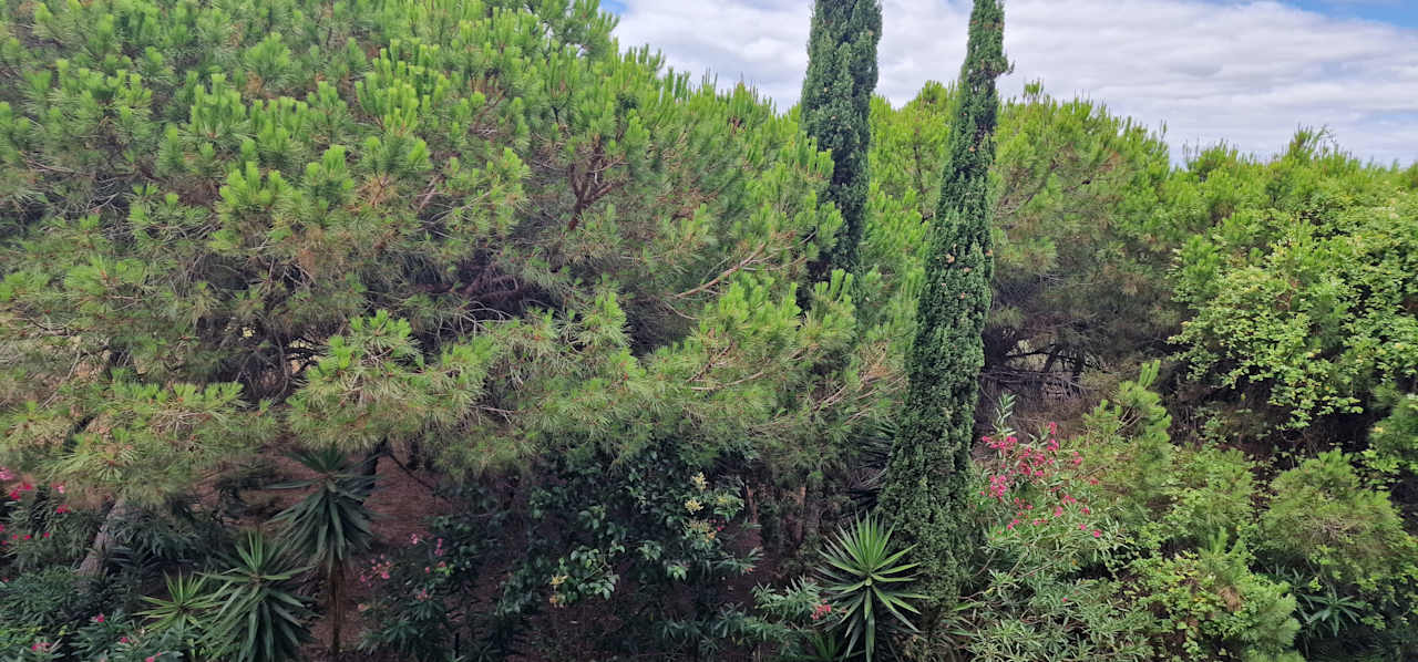 Gartenanlage TUI BLUE Isla Cristina Palace