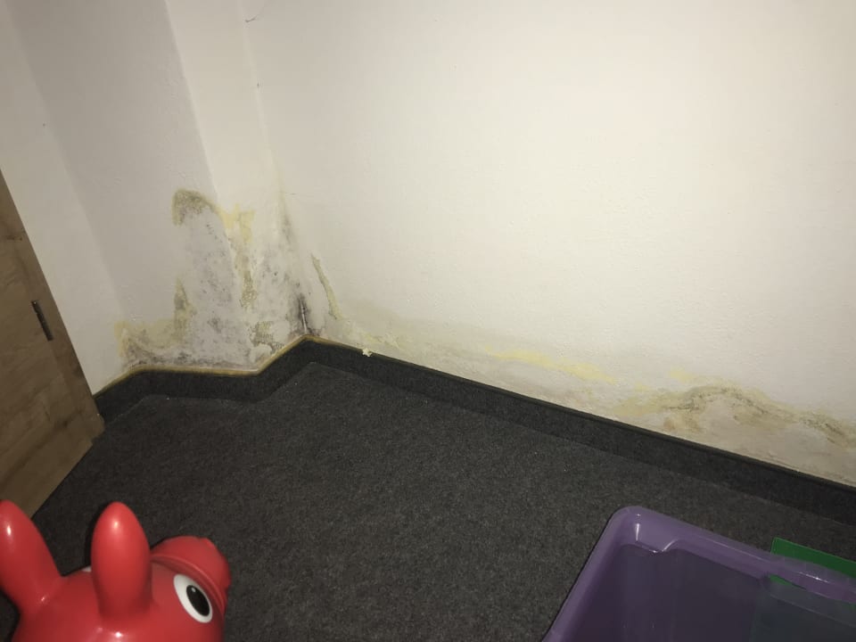 Zimmer Apartments Alpstein