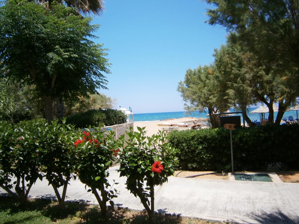 Zugang Strand Phãea Cretan Malia