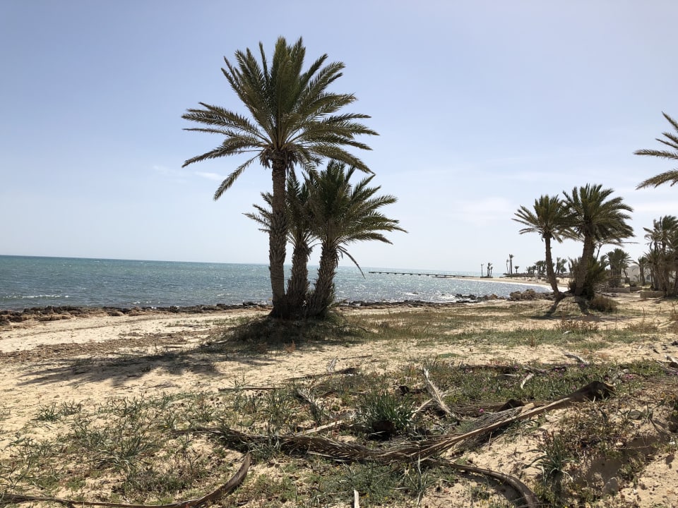 Strand Hotel El Mouradi Djerba Menzel