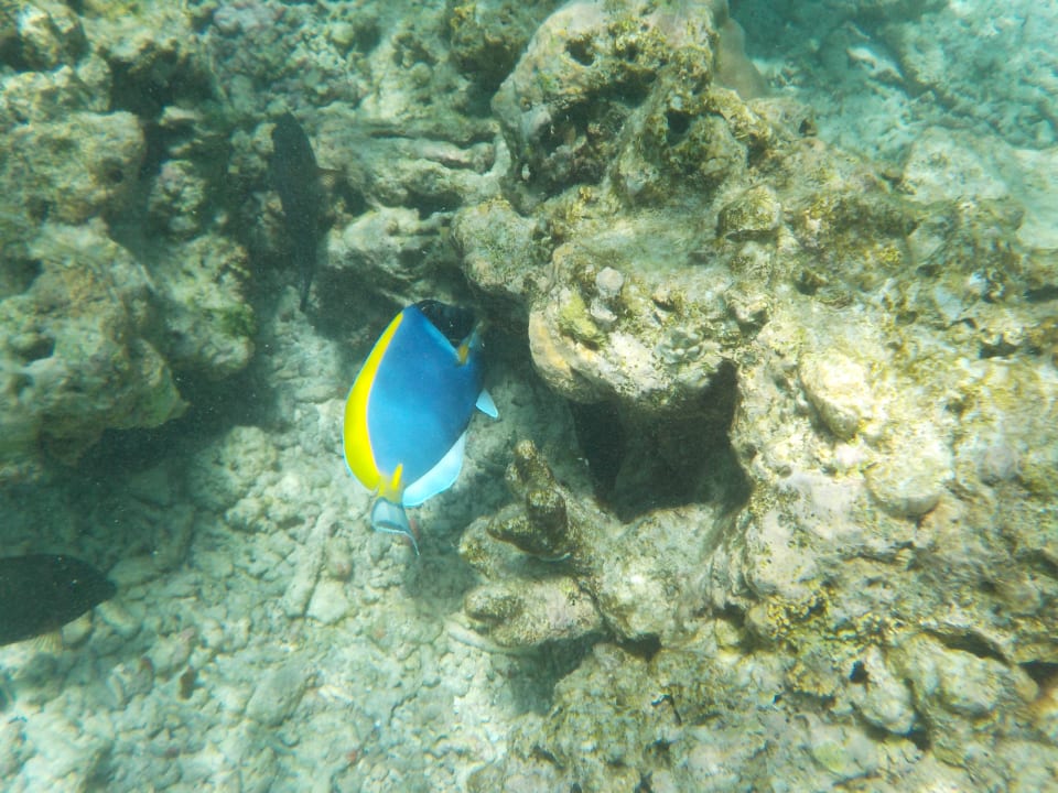 Sport & Freizeit ROBINSON NOONU