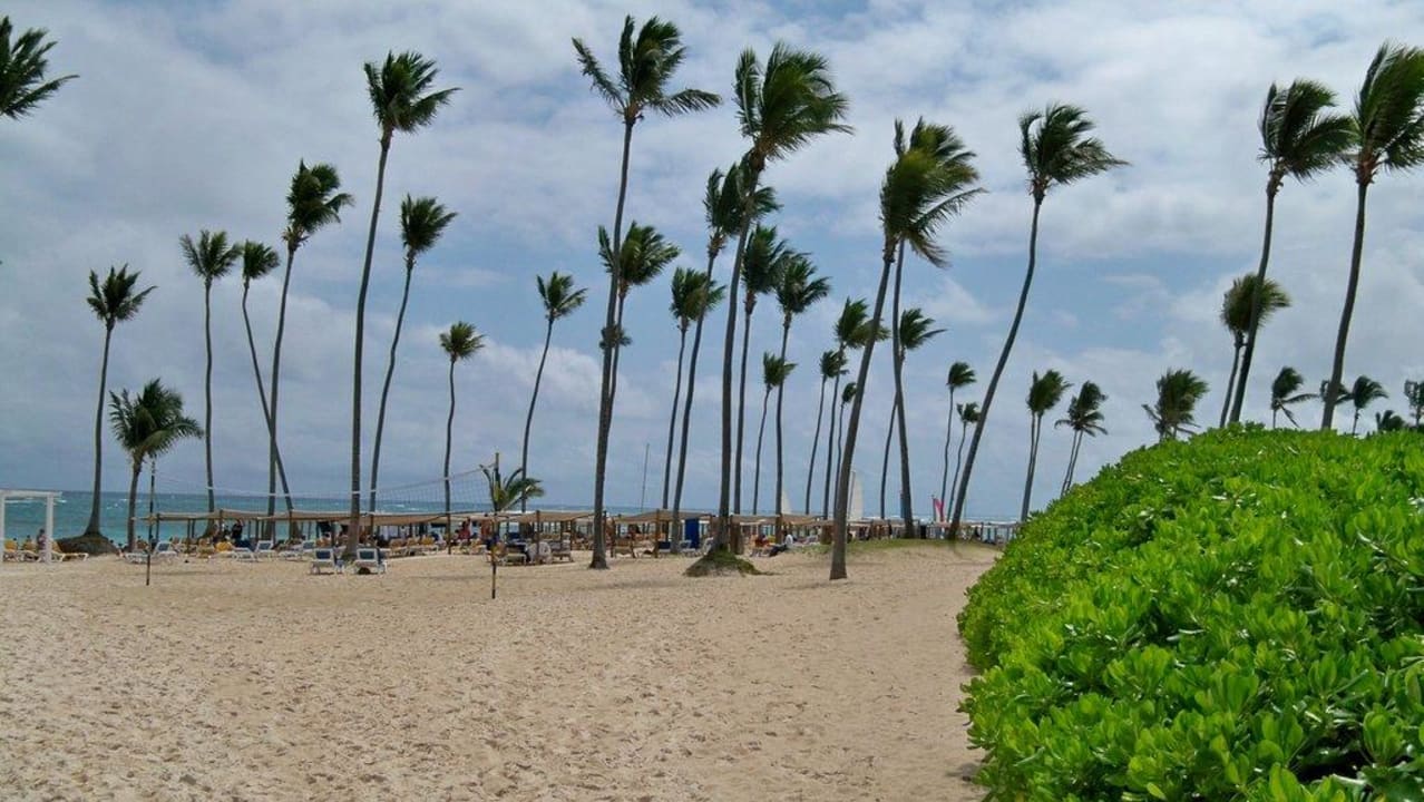 Strand zur rechten Seite Ocean Blue & Sand