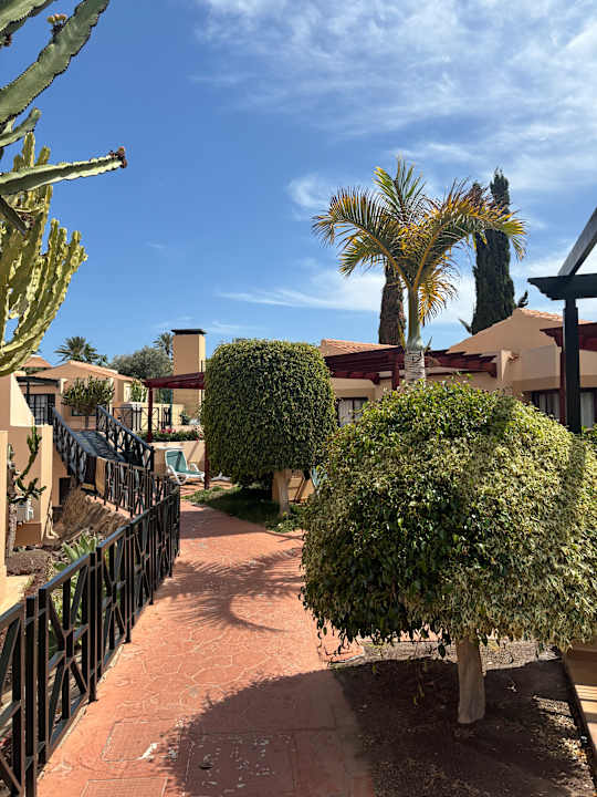 Gartenanlage allsun Hotel Esplendido