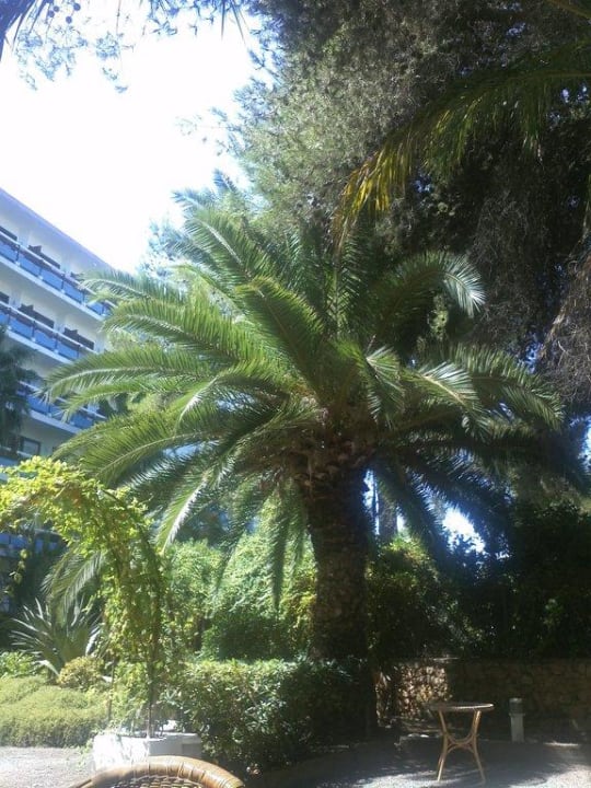 Die Palme  azuLine Hotel Bergantin