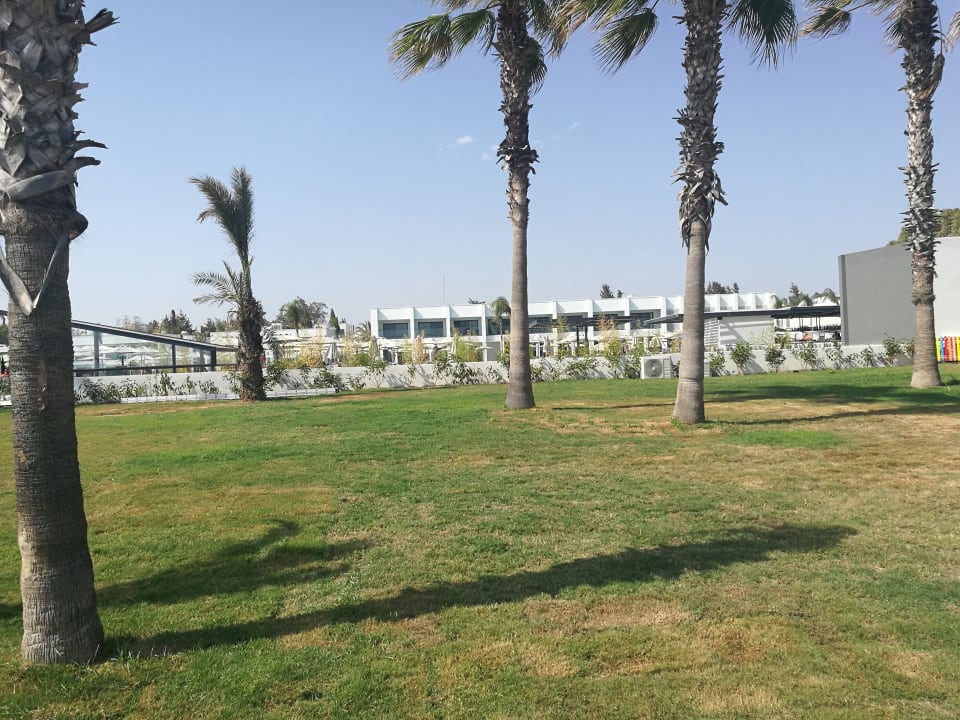 Außenansicht Paloma Finesse