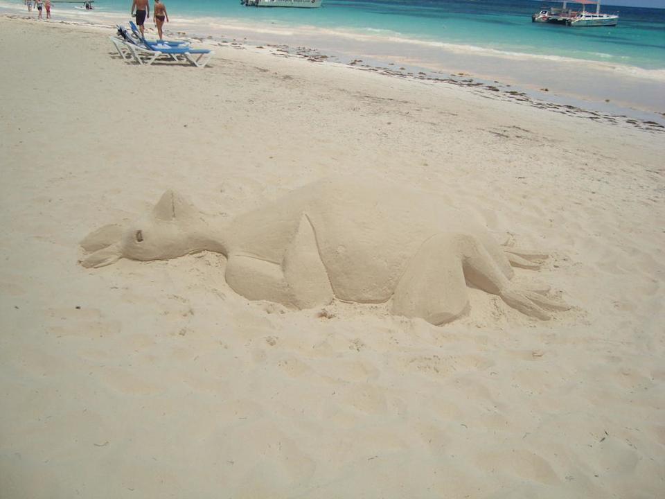 Schweizer Künstler Punta Cana Princess All Suites Resort & Spa