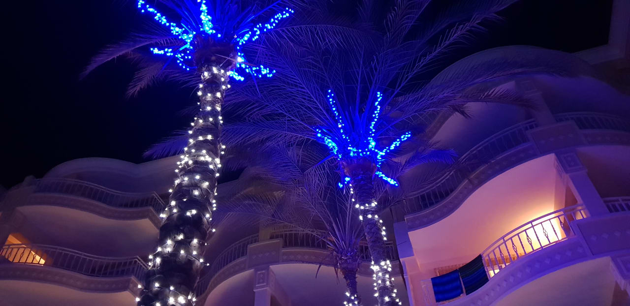 Gartenanlage Palm Royale Resort - Soma Bay