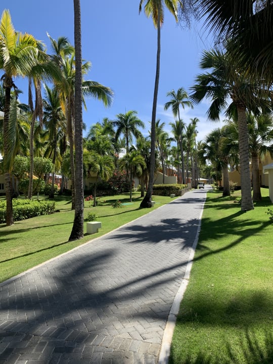 Gartenanlage Iberostar Selection Coral Bávaro