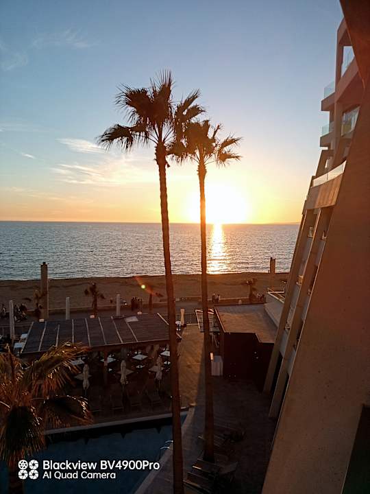 Sonstiges Aparthotel Fontanellas Playa
