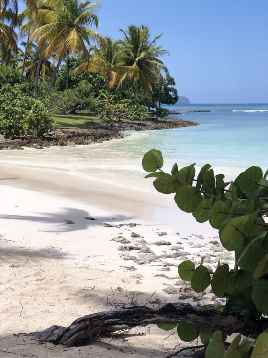 Strand Wyndham Alltra Samana