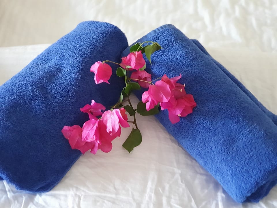 Zimmer Alexander Beach Hotel & Village Resort