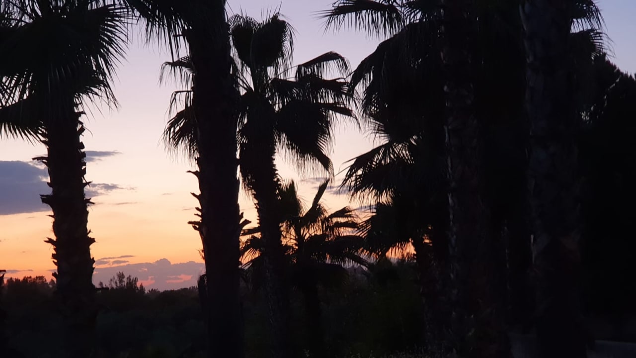 Ausblick Hotel Süral Resort