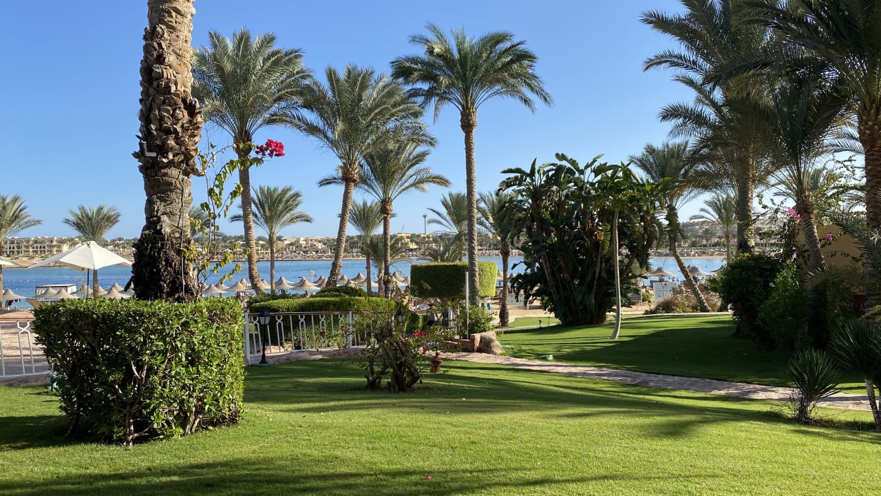 Garten Steigenberger Coraya Beach - Adults only