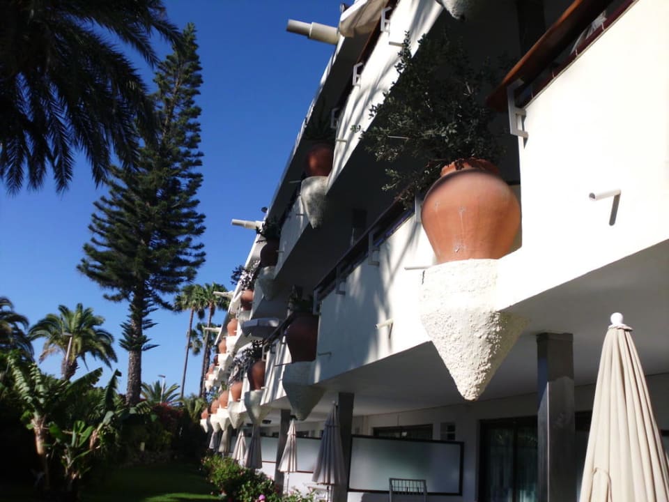 Blick vom Garten Apartamentos Nogalera