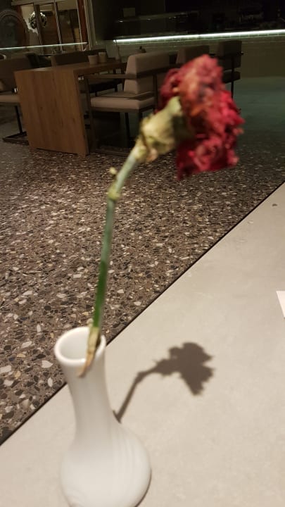 Gastro PALOMA Perissia