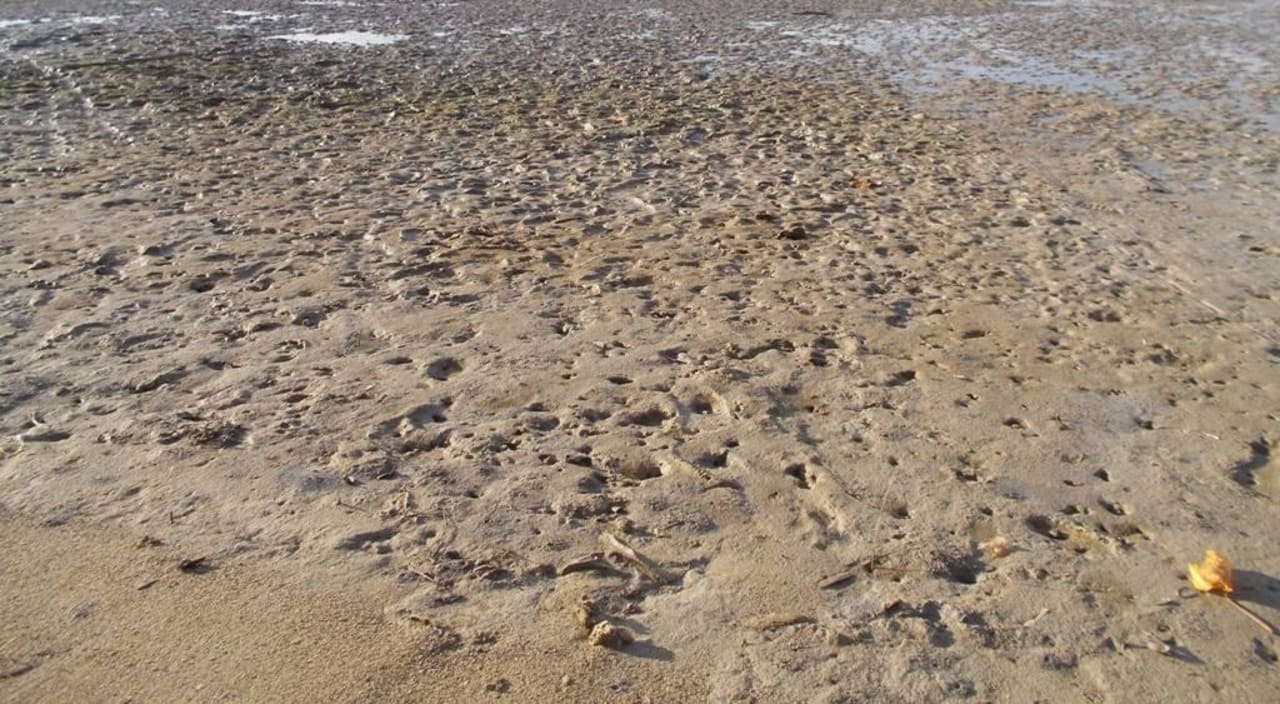 Hotelstrand2 Veranda Paul & Virginie Hotel & Spa - Adults only