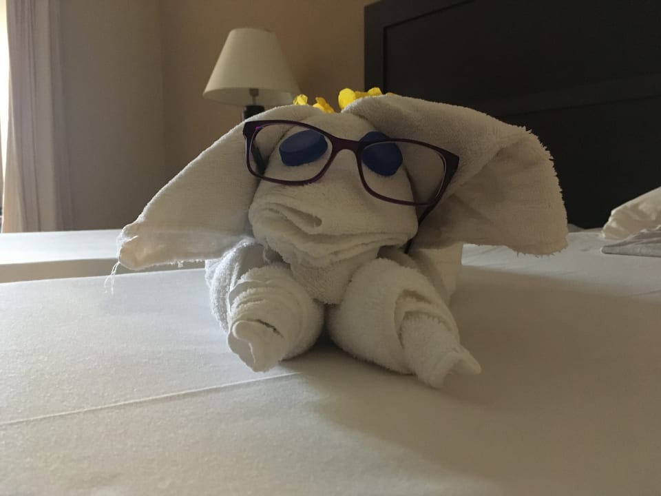 Zimmer Jaz Dar EL Madina