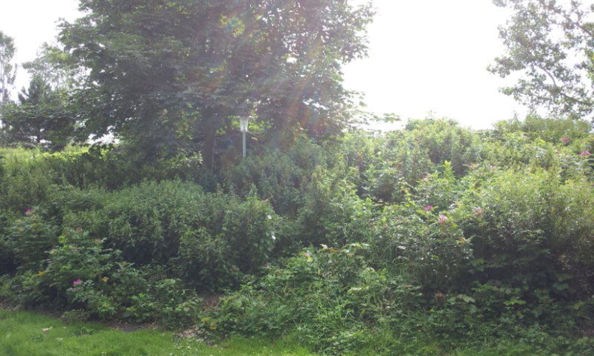 Apartments Ferienpark Weissenhäuser Strand Ferienwohnungen Ferienpark Weissenhäuser Strand