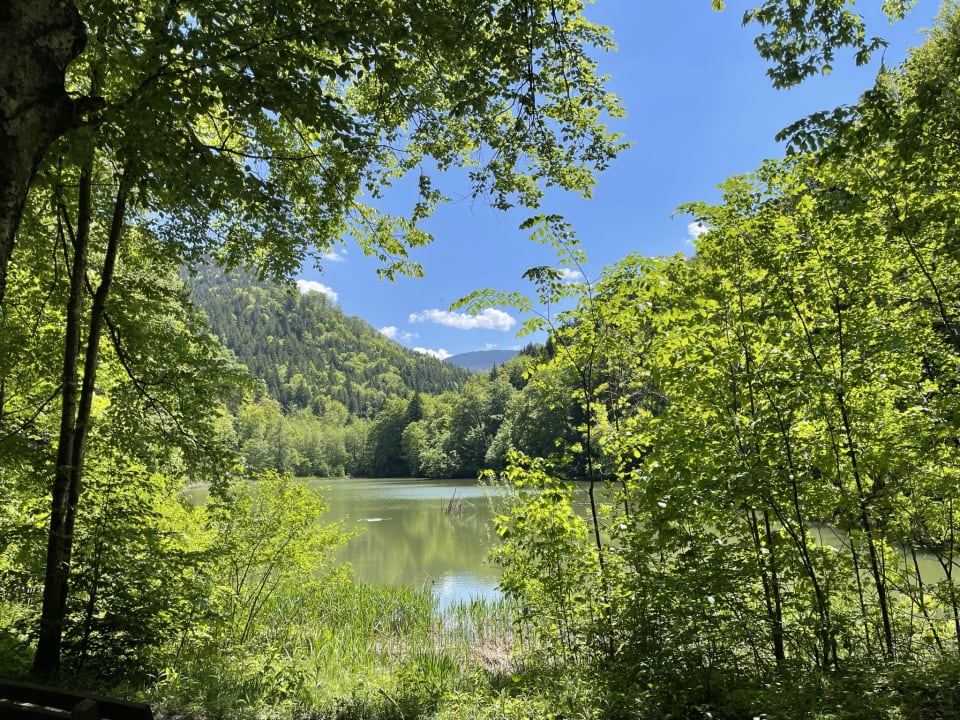 Außenansicht Ferienhof Streidl