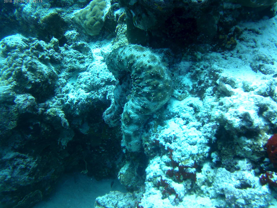 Sport & Freizeit Centara Ras Fushi Resort & Spa Maldives