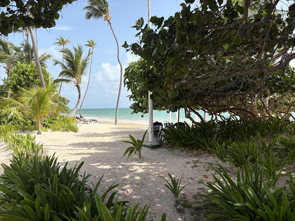 Strand Grand Palladium Punta Cana Resort & Spa