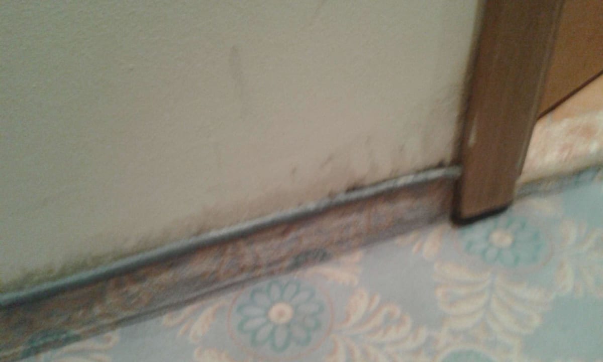 Unser schimmliges Zimmer Royal Park Hotel & Aqua park