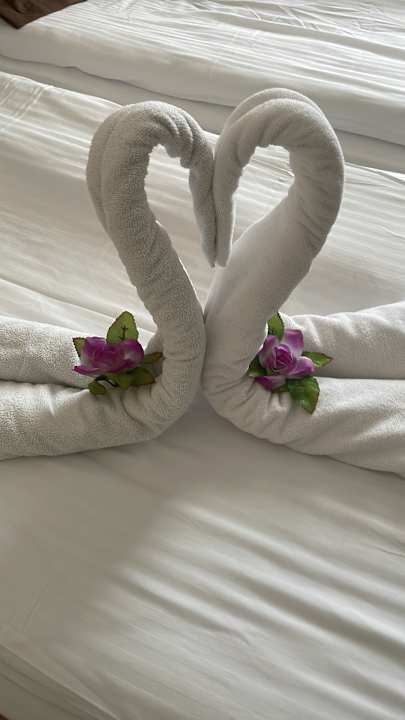 Zimmer Side Star Beach