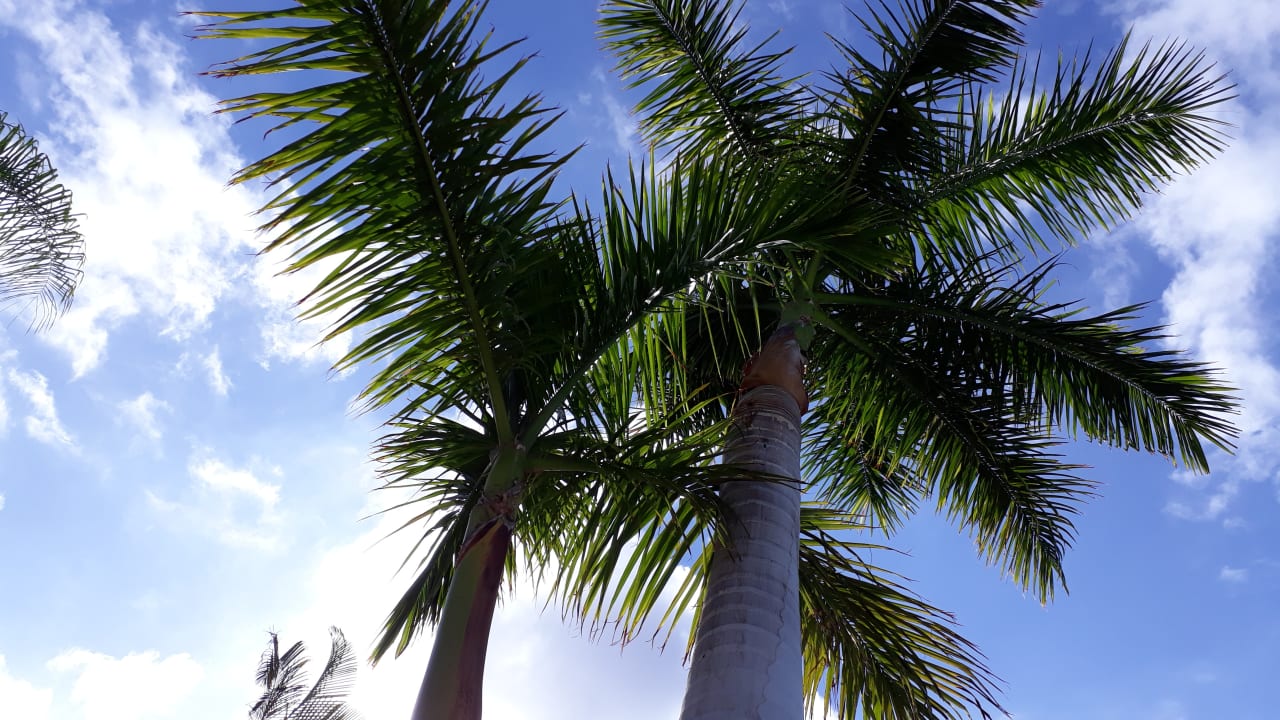 Pool Adrián Hoteles Colón Guanahaní - Adults only