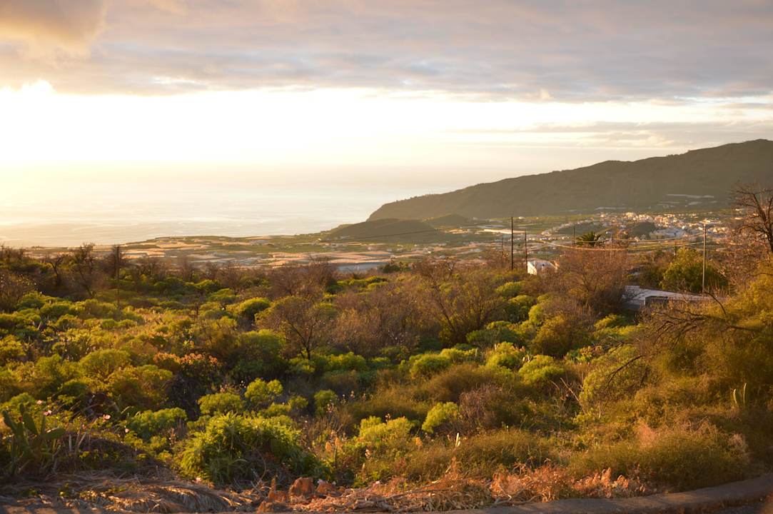 Ruhig am Abend Bungalows Los Guanches