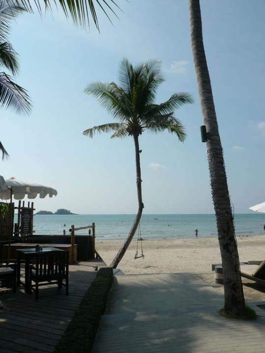 Strand vom Hotel gesehen Hotel The Dewa Koh Chang