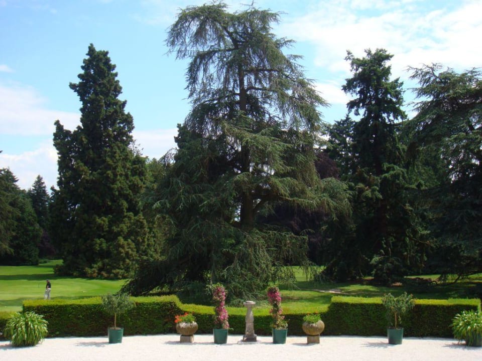 Parkblick Schlosshotel Kronberg