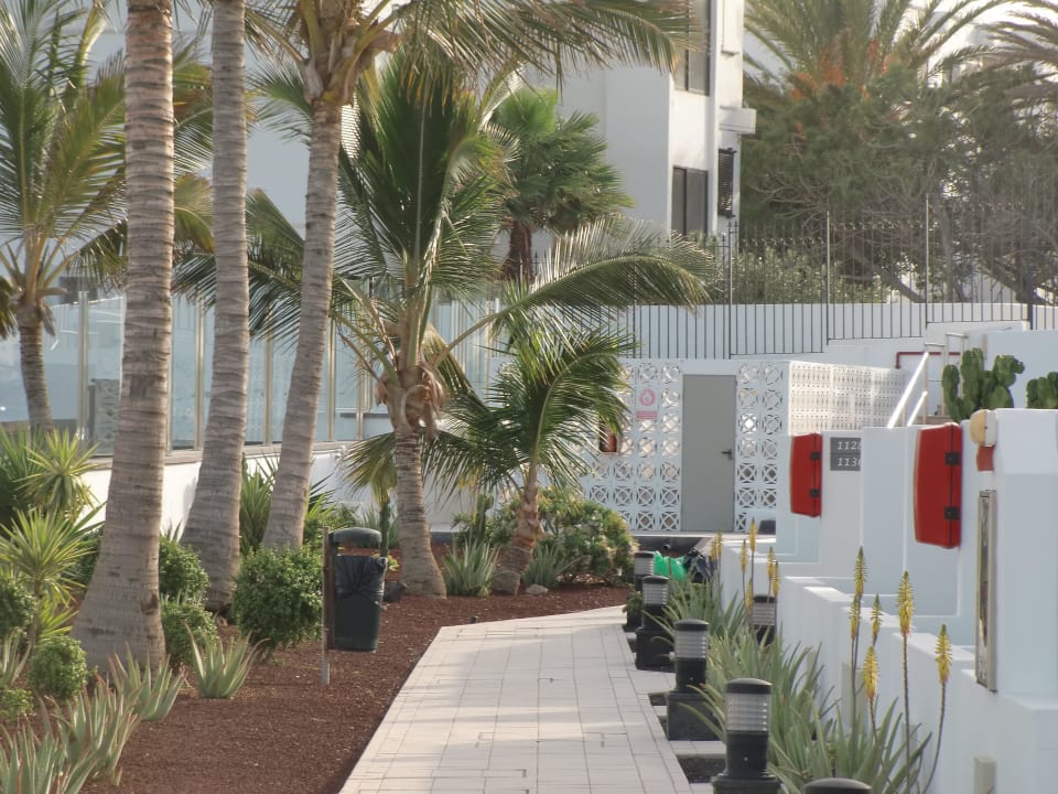 Sehr gepflegter Garten Hotel Las Costas