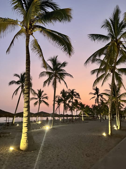 Gartenanlage Salalah Rotana Resort