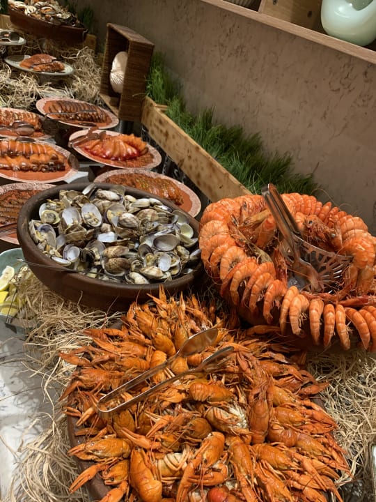 Gastro Acanthus Cennet Barut Collection