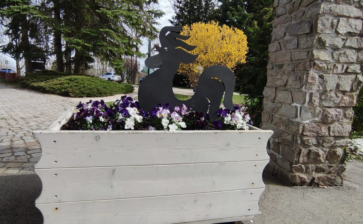 Außenansicht Sonnenhotel Hoher Hahn