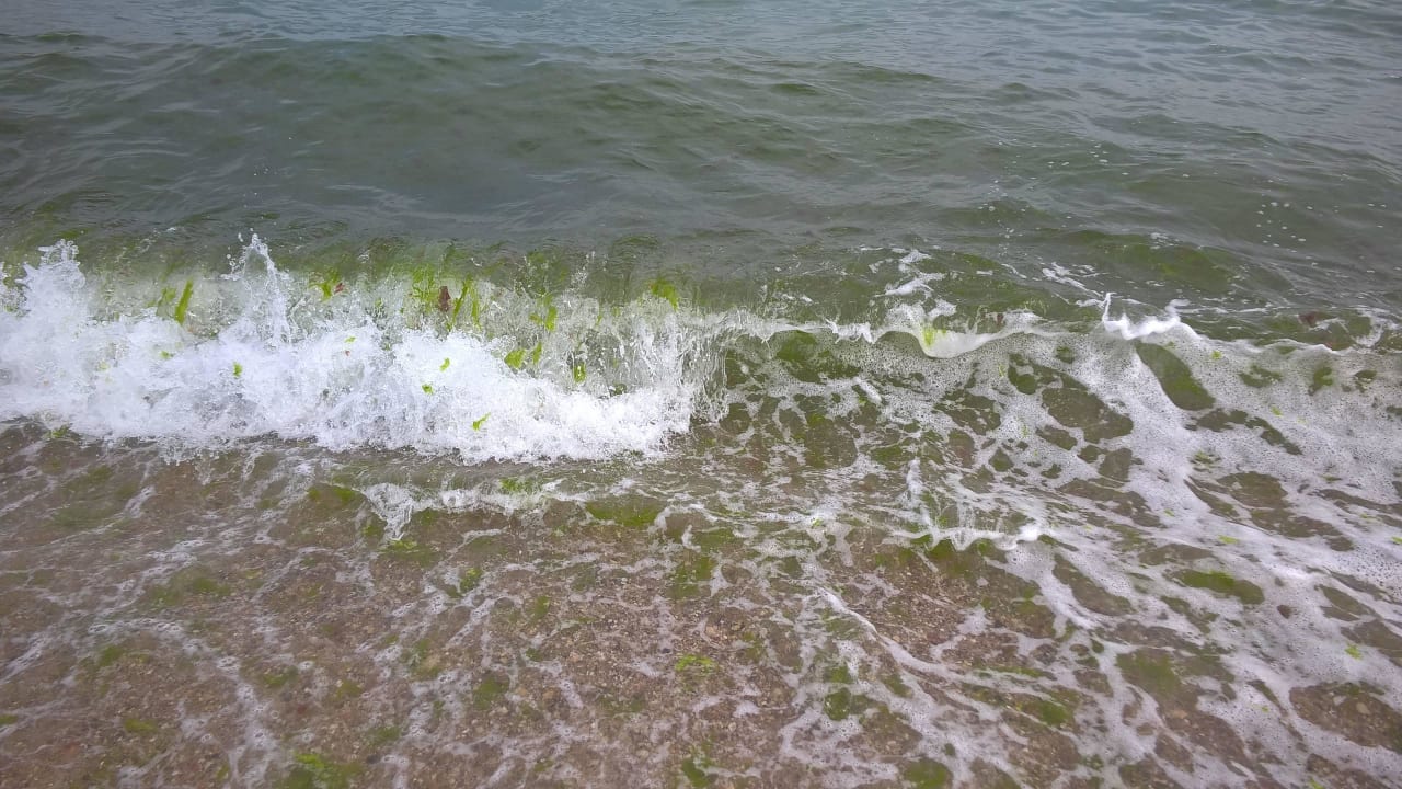 Kieselsteine und stark abfallend GRIFID Encanto Beach