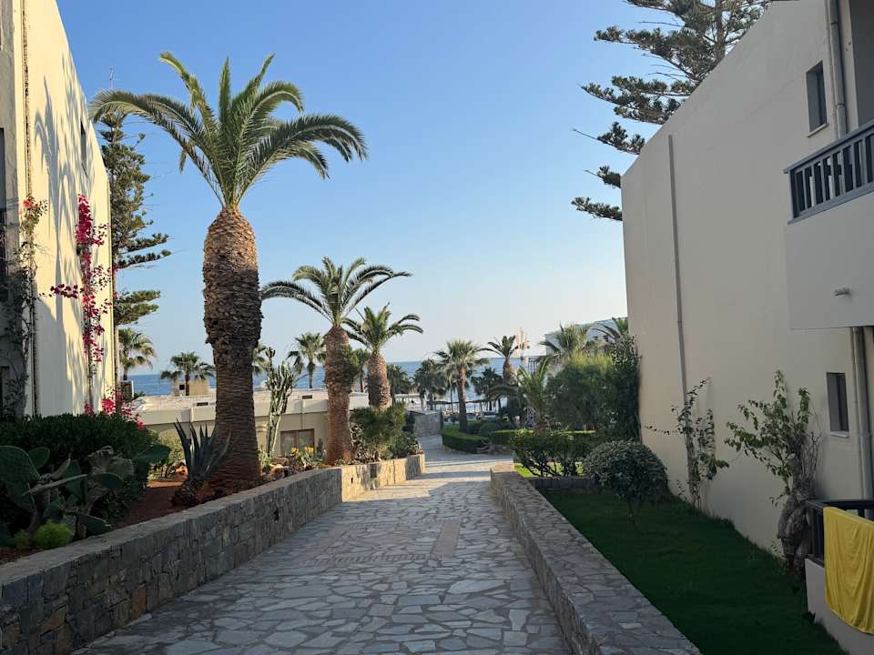 Gartenanlage allsun Hotel Malia Beach