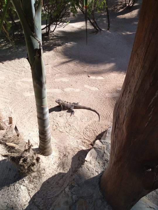 Sonstiges Hotel Villas Flamingos