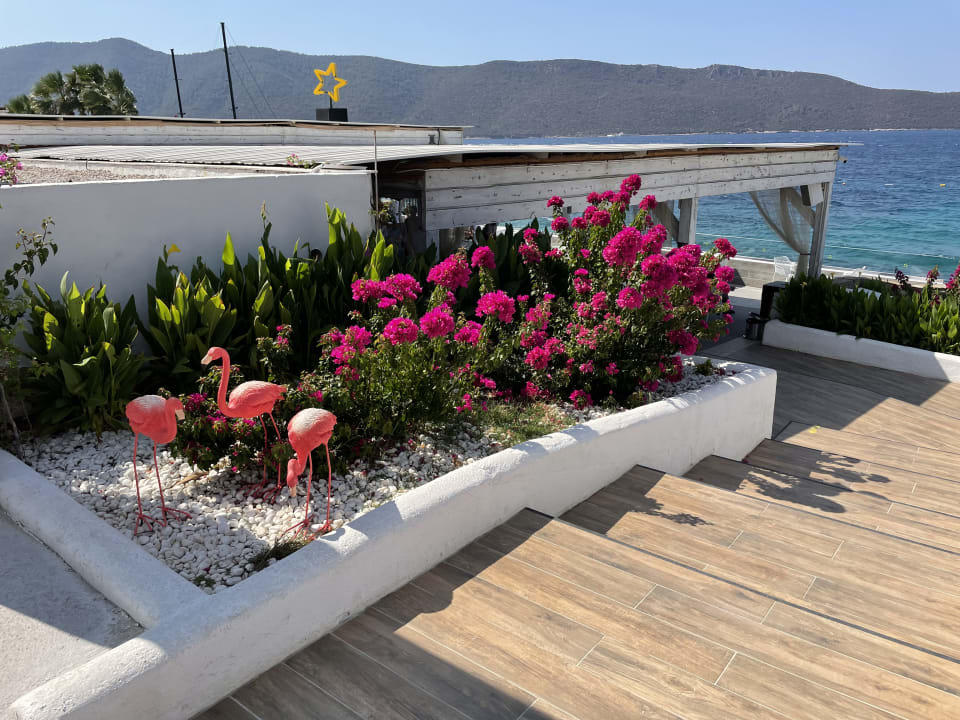 Ausblick TUI MAGIC LIFE Bodrum - Adult Only (16+)