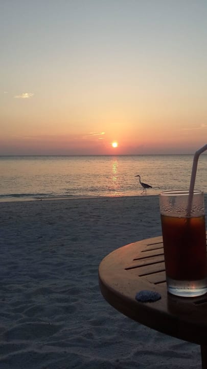 Sonnenuntergang Summer Island Maldives