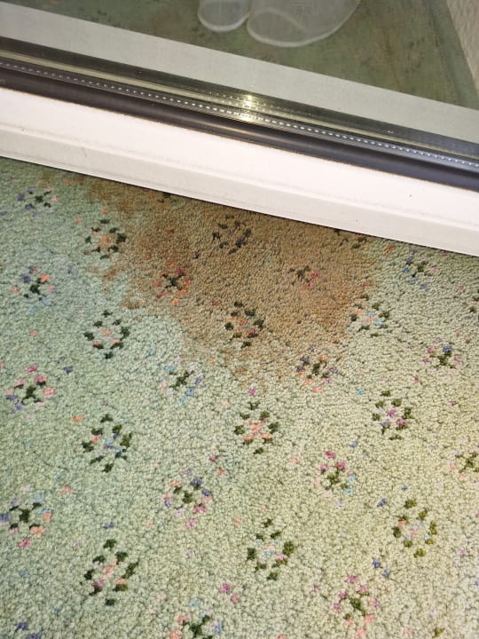 Zimmer Congress Hotel Weimar by Mercure