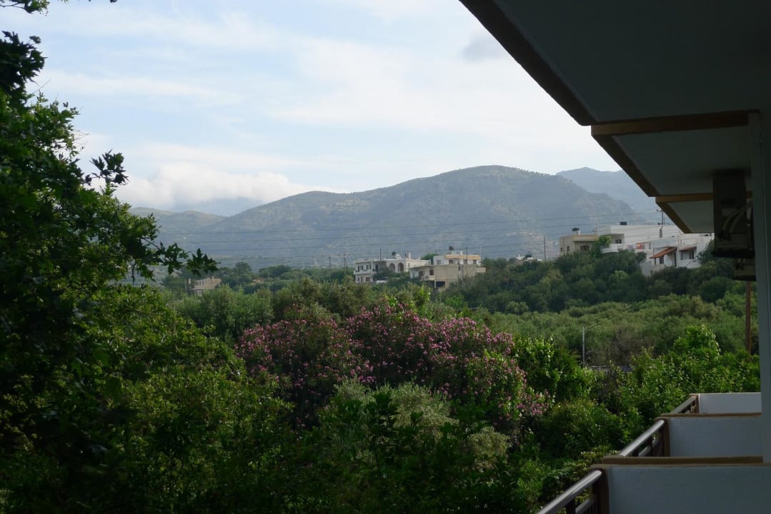 Blick vom Balkon zur Landseite Hotel South Coast