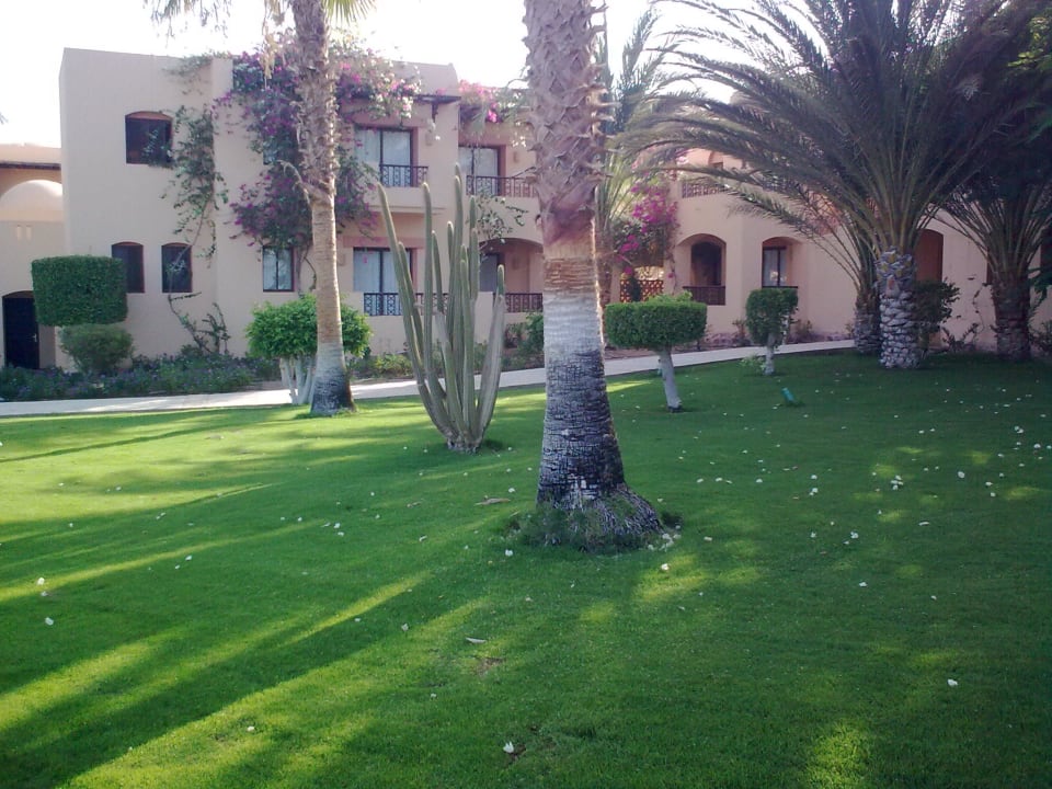 Coraya - areál Steigenberger Coraya Beach - Adults only