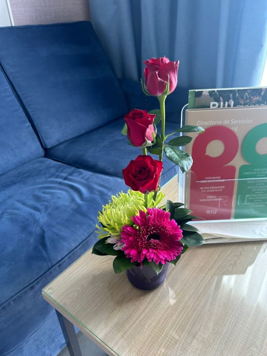 Zimmer Hotel Riu Palace Palmeras