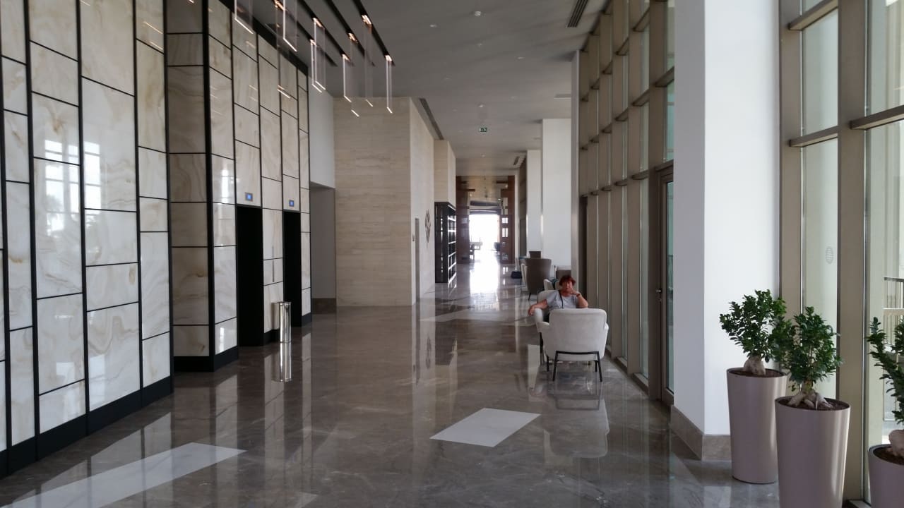 Lobby Acanthus Cennet Barut Collection