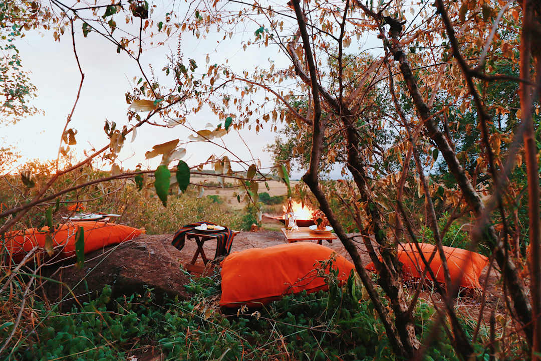 Gastro Mara Eden Safari Camp