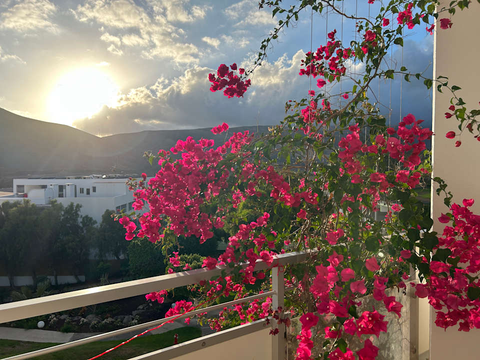 Ausblick allsun App.-Hotel Esquinzo Beach