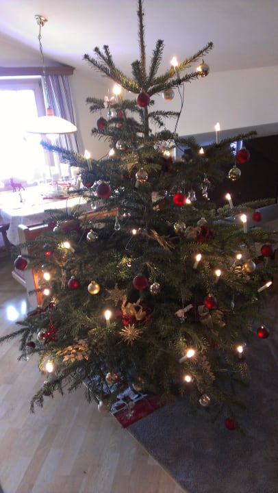 Alle Jahre wieder...Alpenblick ! Pension - Appartements Alpenblick