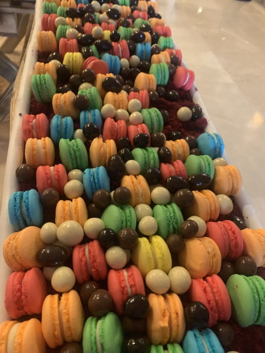 Gastro Sentido Trendy Verbena Beach